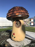 Raccoon in mushroom house