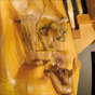Cougar woodcarving