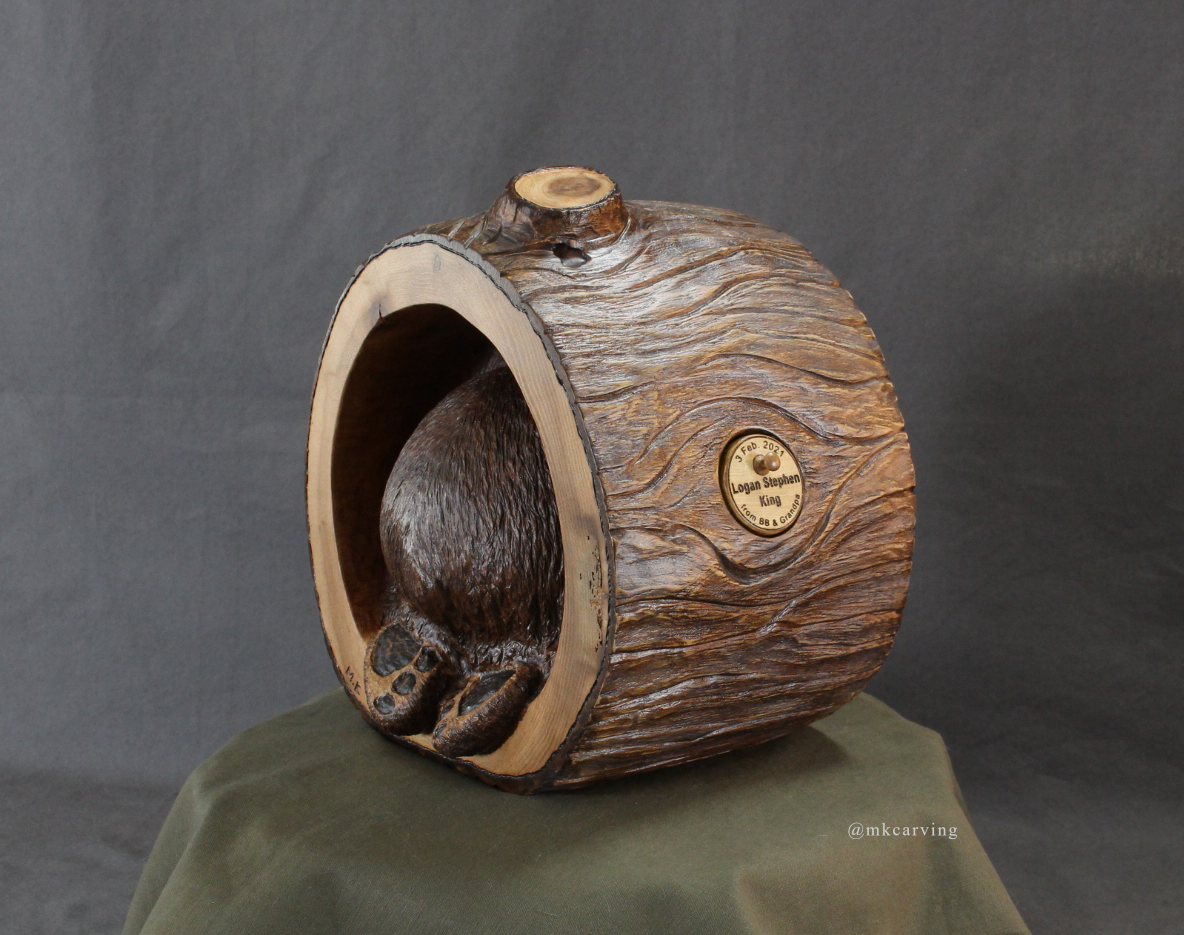 bear cub in log back