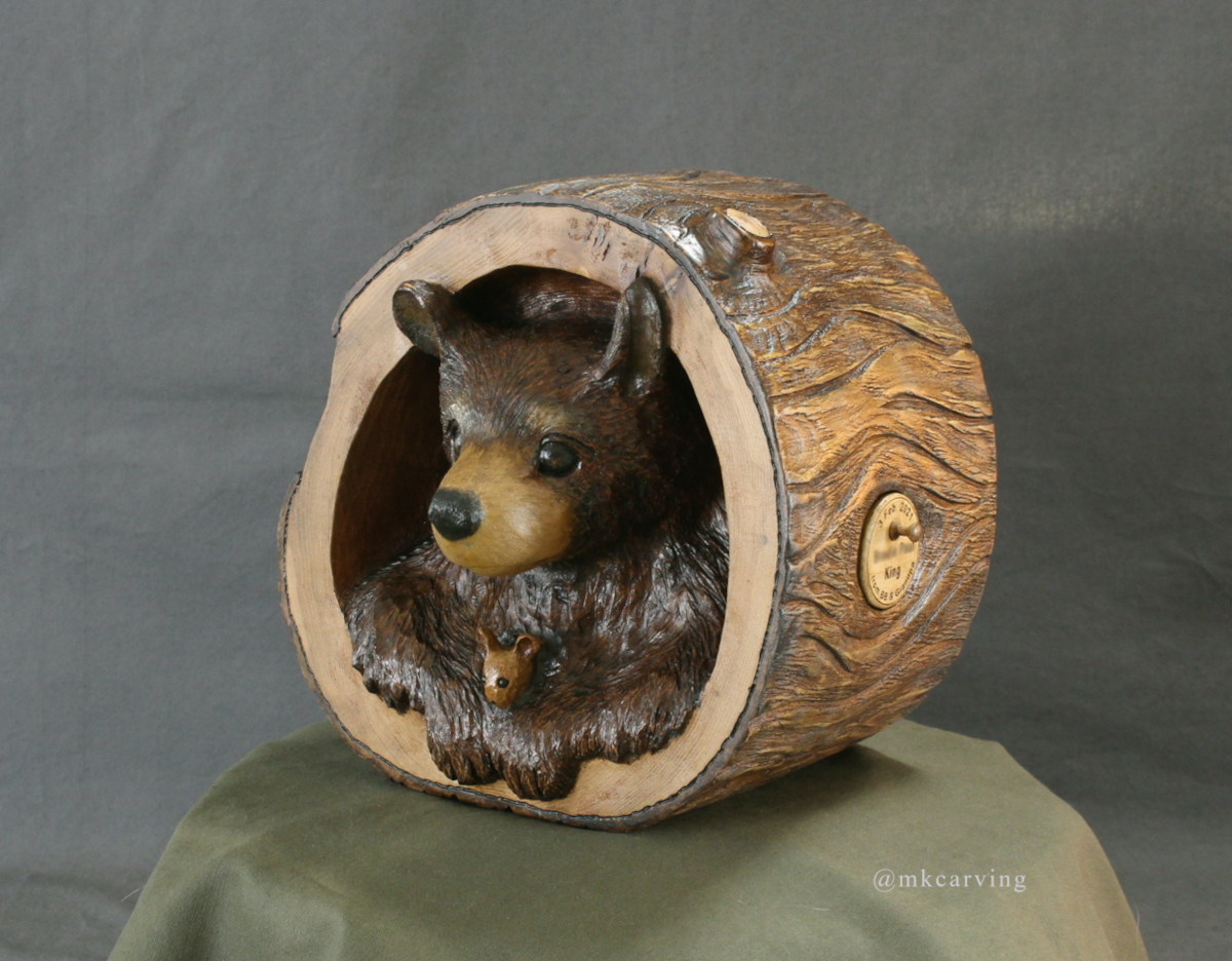 Bear cub in log front