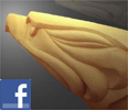 facebook woodcarving