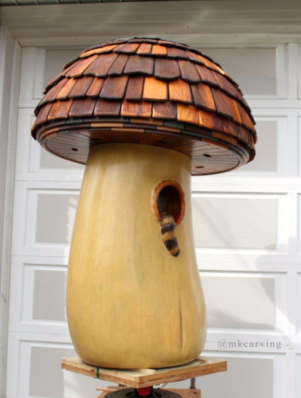 Mushroom raccoon rear