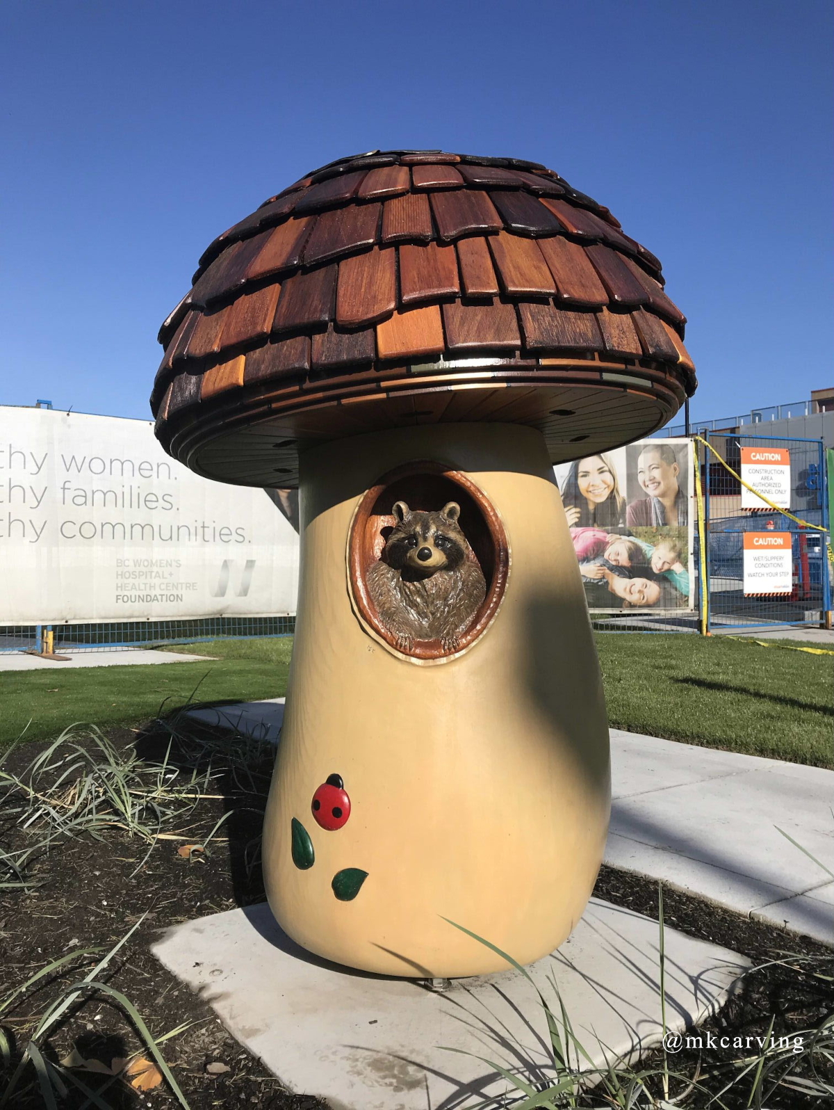 Mushroom raccoon front