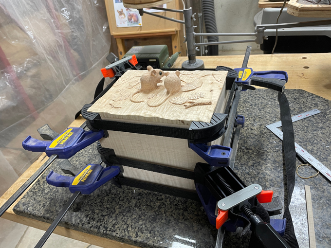 progress11 bear rough