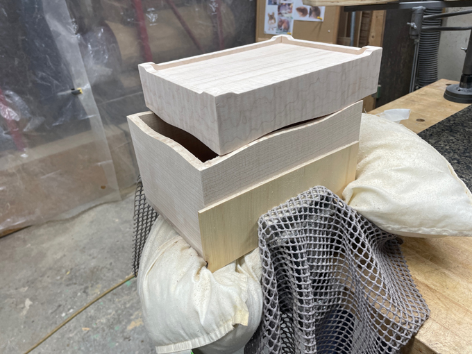 progress10 bird detail