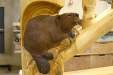 progress5 beaver