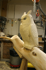 progress1 3D owl 5