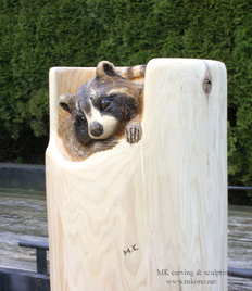 Raccoon woodcarving - front