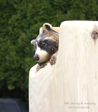 Raccoon woodcarving - side