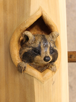 Raccoon carving front
