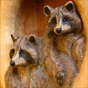 Raccoon woodcarving by MK Carving Canada
